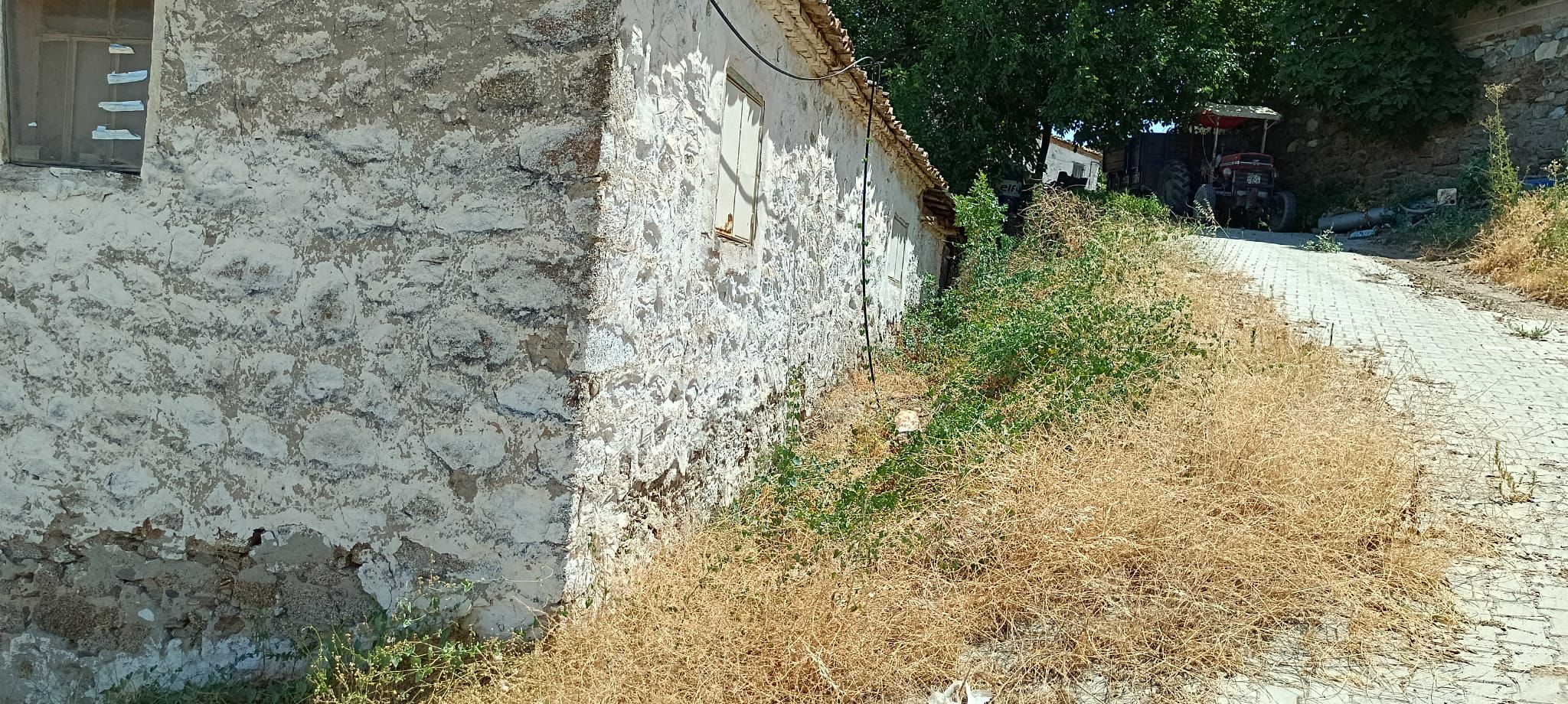 Image Description