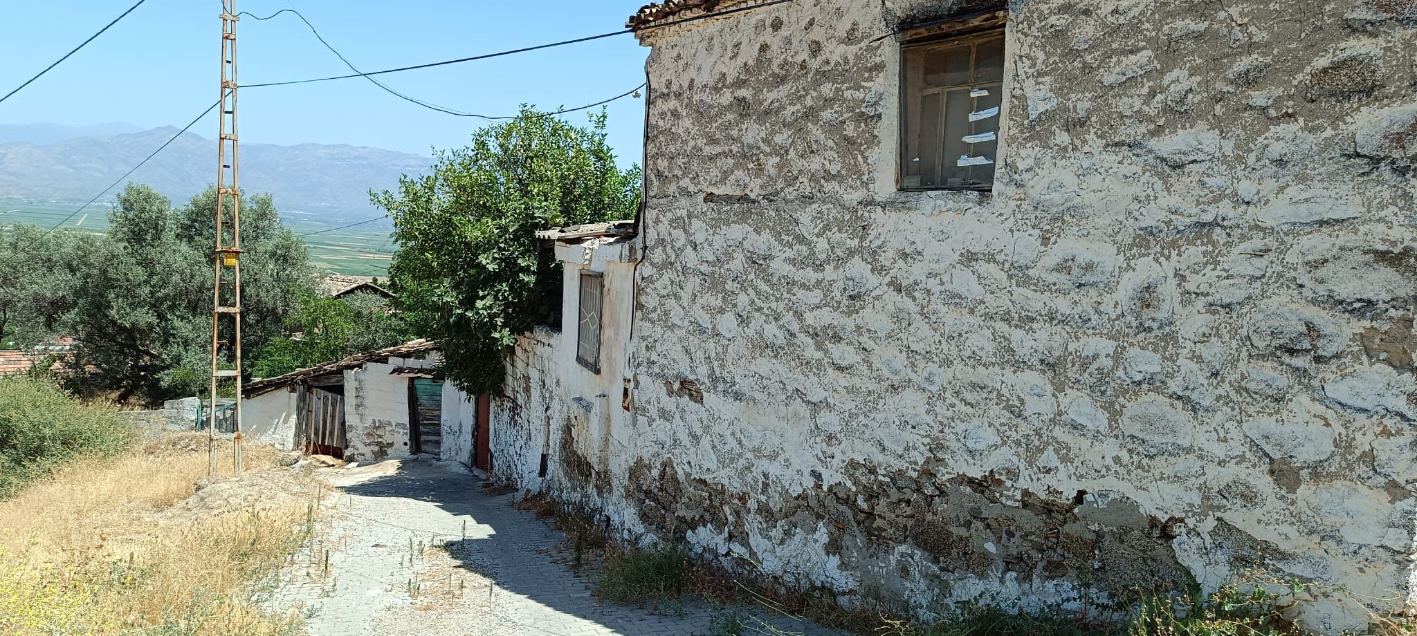 Image Description